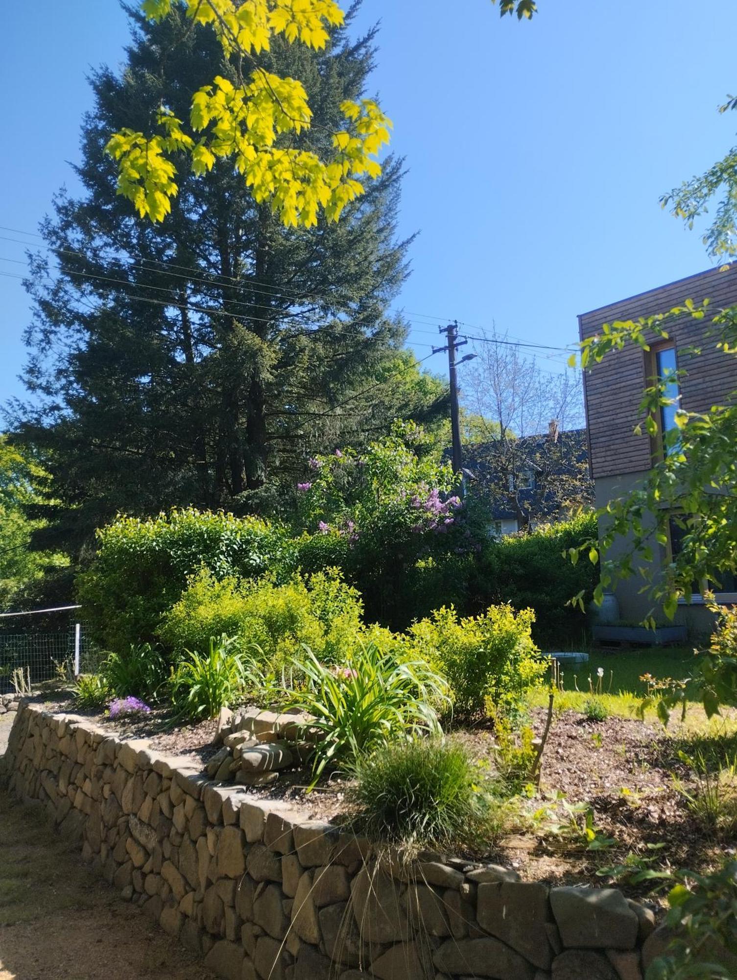 Villa Domecek Uprostred Prirody Krásná Lípa Esterno foto